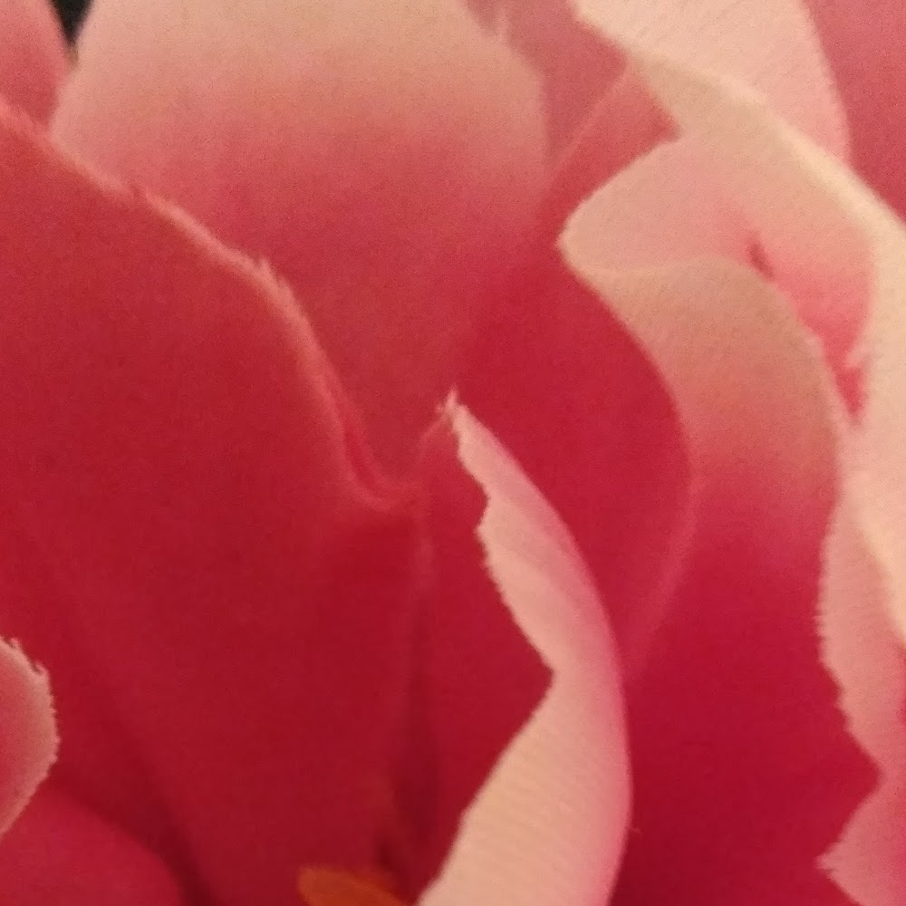 Meet your Posher, Belinda